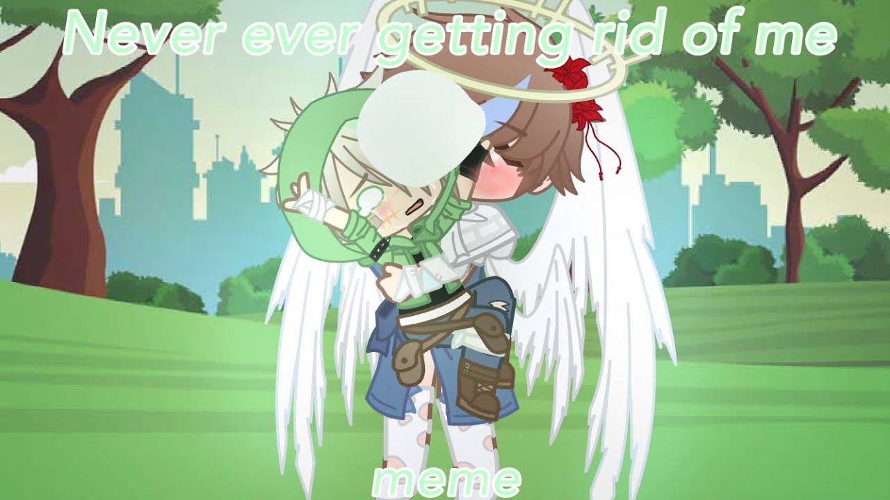 Never ever getting rid of me || meme || Dream & HD || Dream smp ||