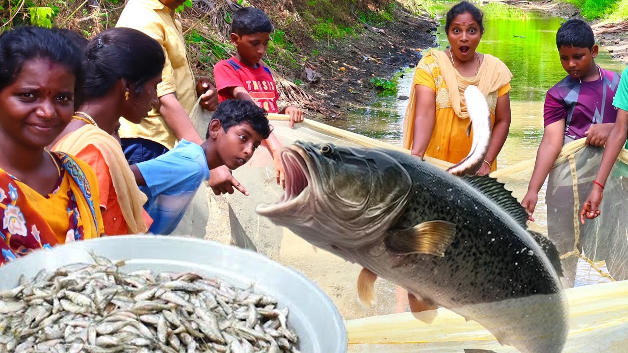 Big Fish Catching in Village Pond | Village Fishing | Village Super Cooking #fishing