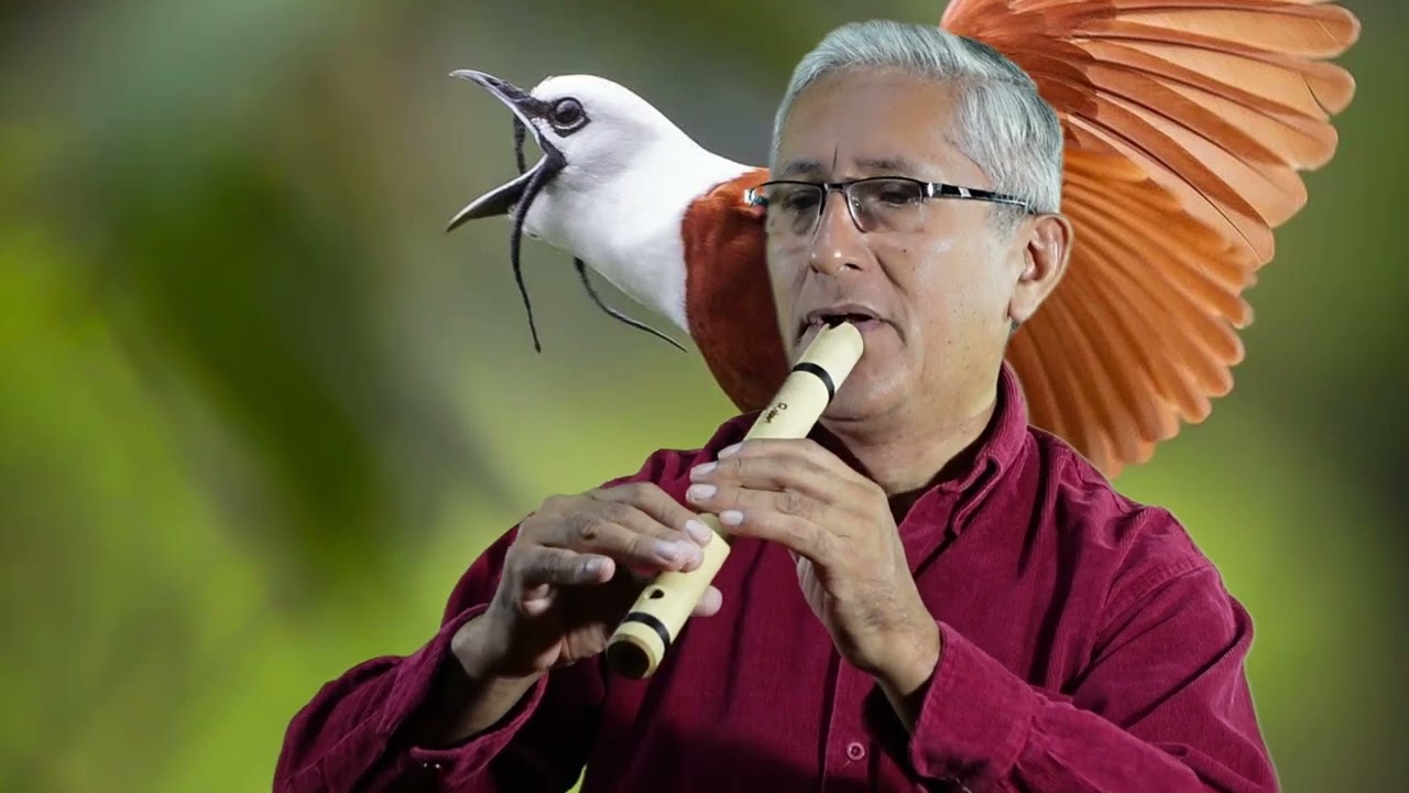 PAJARO CAMPANA,Félix Pérez Cardozo. Robert Montoro