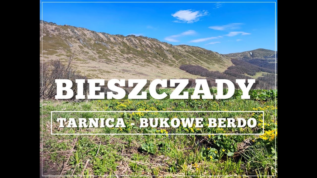 Tarnica - Bukowe Berdo | Bieszczady