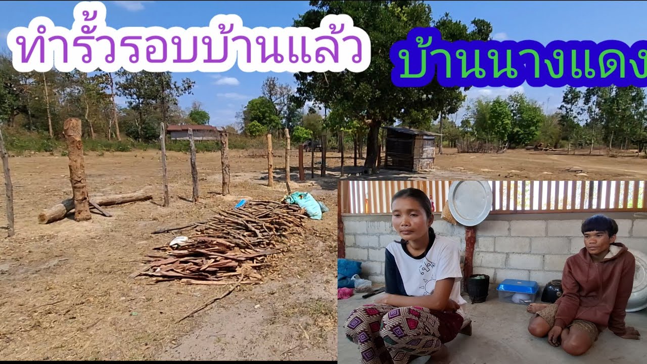 ล่าสุดนางแดงจะมีน้องหลือเปล่าหน้าตาแจ่มใส