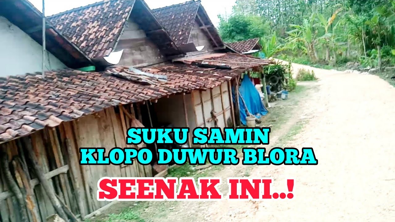 Kampung pedalaman suku samin sedulur sikep Klopoduwur Blora, T3HCS