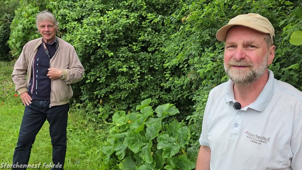 Rettung vom Jungstorch in Hohenferchesar - 19.06.2024