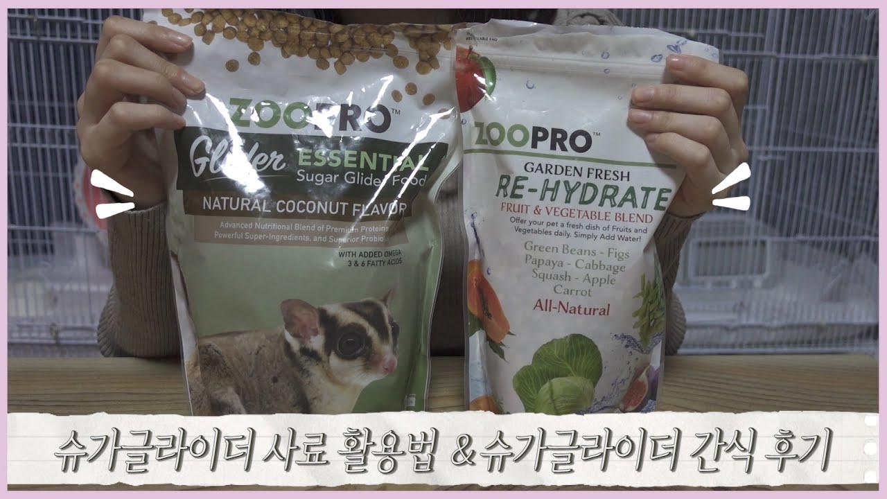 슈가글라이더 사료 활용법 및 간식리뷰~