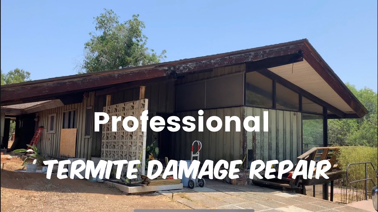 Professional Termite Repair | Amazing MCM Home!