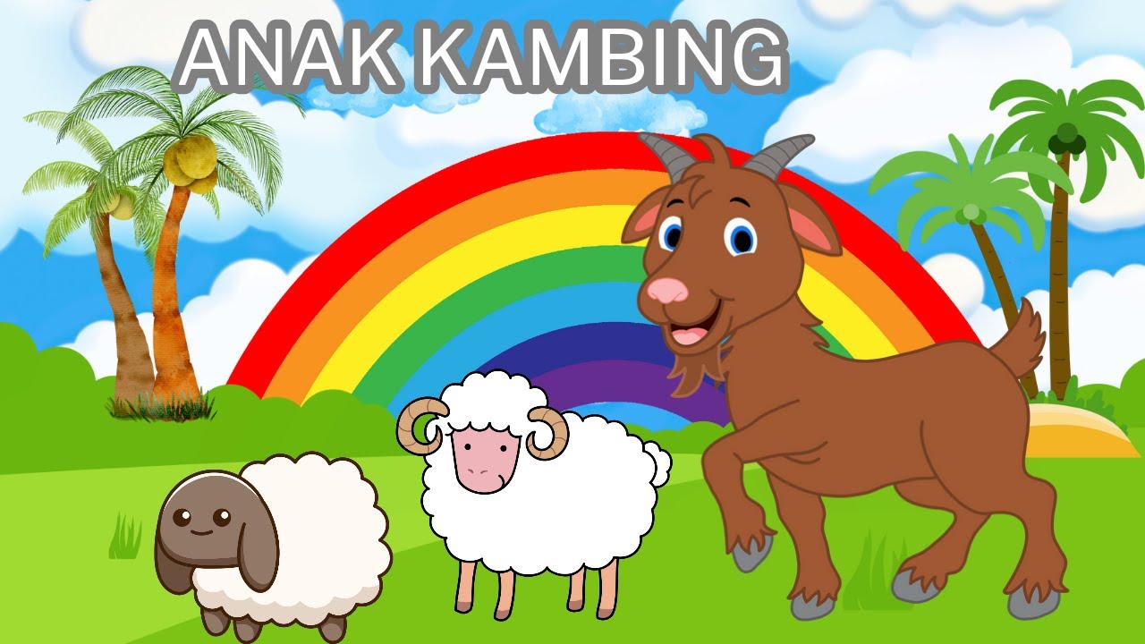 Caca Marica Hey Hey Anak Kambing Saya || Lagu Anak Populer