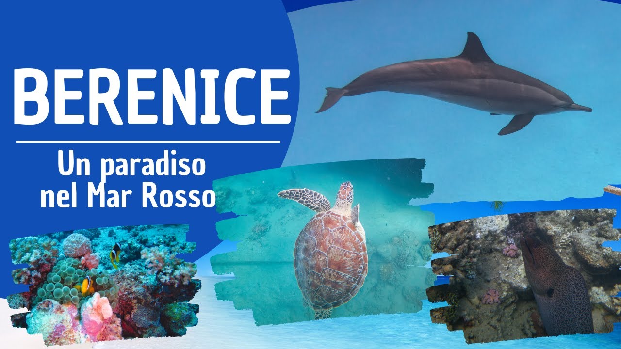 BERENICE UN PARADISO NEL MAR ROSSO Lahami Bay Beach Resort