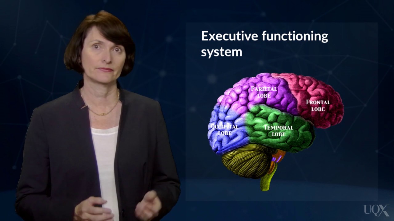UQx DEEPx Self regulation and self - regulated learning