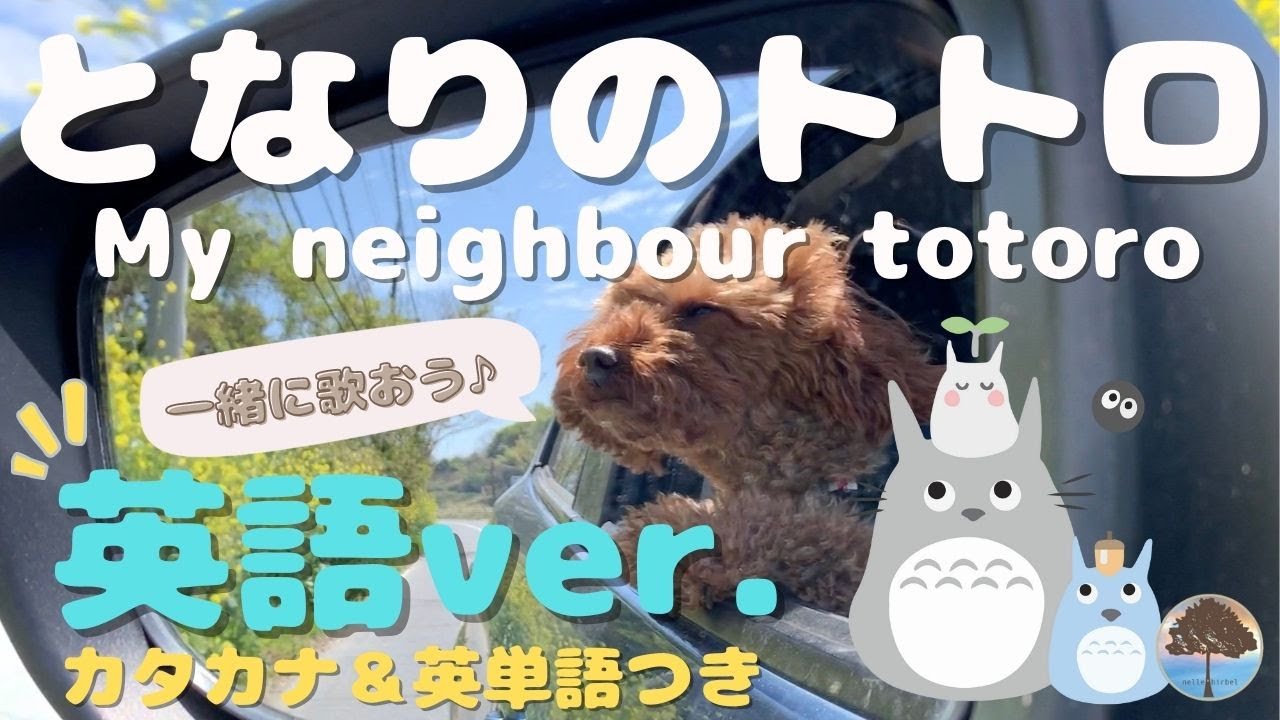 🌳となりのトトロ 英語ver 英語の読み方&解説付き🌳