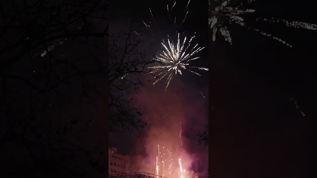 🎇 Fallas Valencia - Fireworks 🎇 #fallas #valencia #spain #shortsvideo