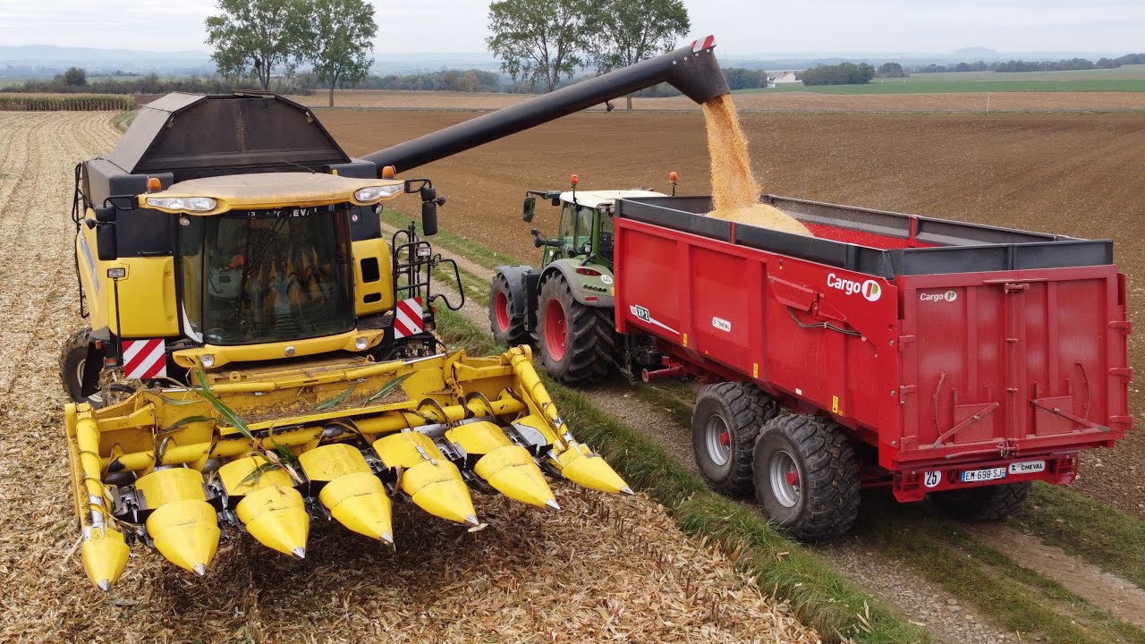 Récolte du maïs grain 2021 // New Holland CR 9060