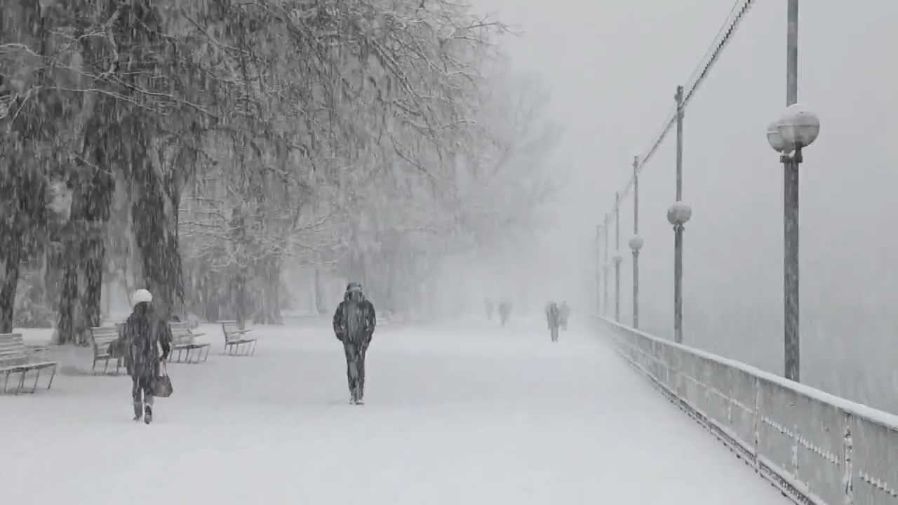 Snowfall in Geneva, January 2013