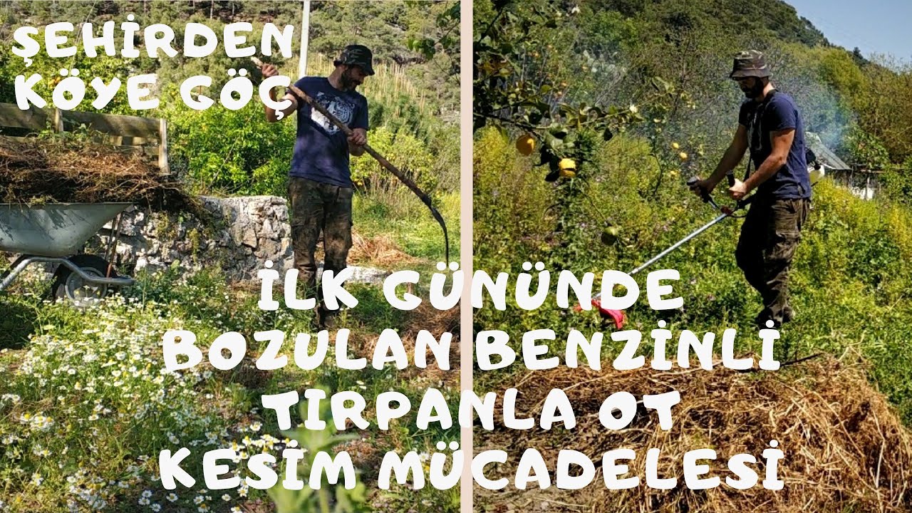 Benzinli Motorlu Tırpan | İlk Gününde Bozuldu | Otları Temizliyoruz | Şehirden Köye Göç | 70.Bölüm
