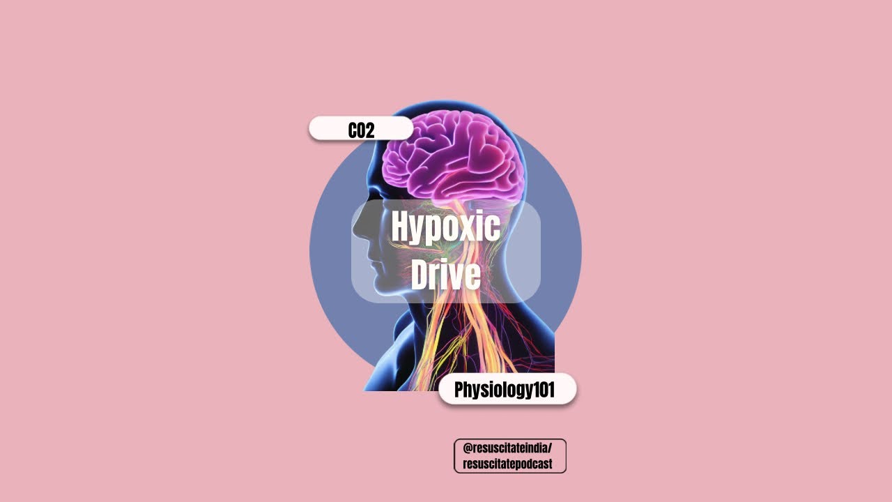 Physiology 101- Hypoxic Drive