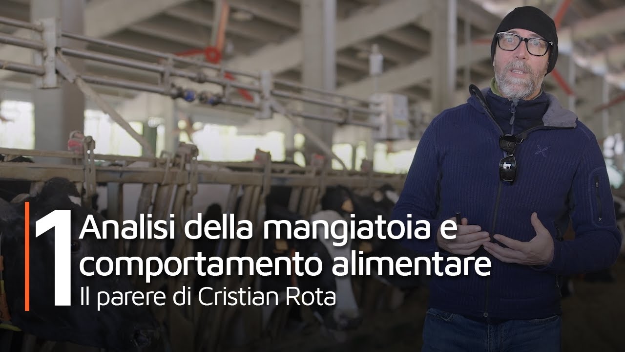 Analisi della mangiatoia e comportamento alimentare. Il parere di Cristian Rota.