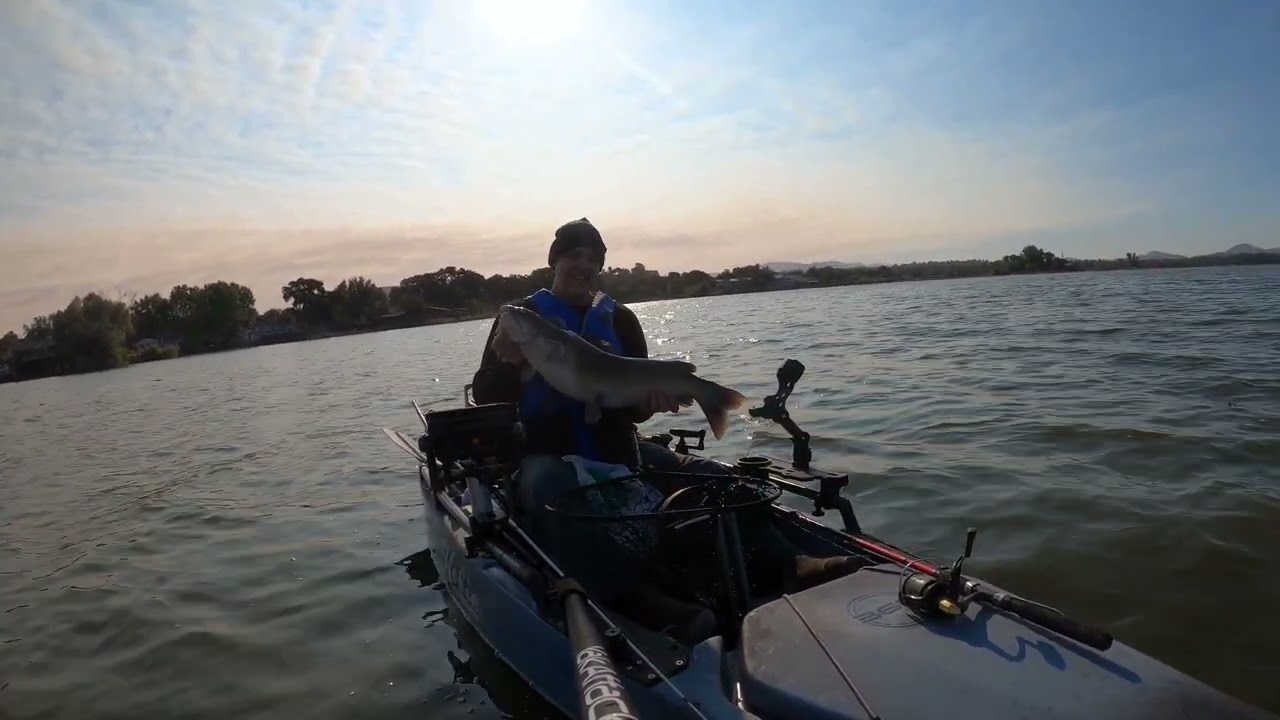 Clear Lake Catfishing Huge Fish  7/27/24