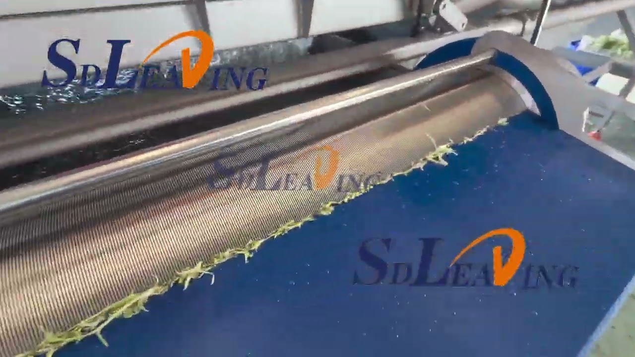 Ruccolasalad vegetables washing and drying machines processing line.