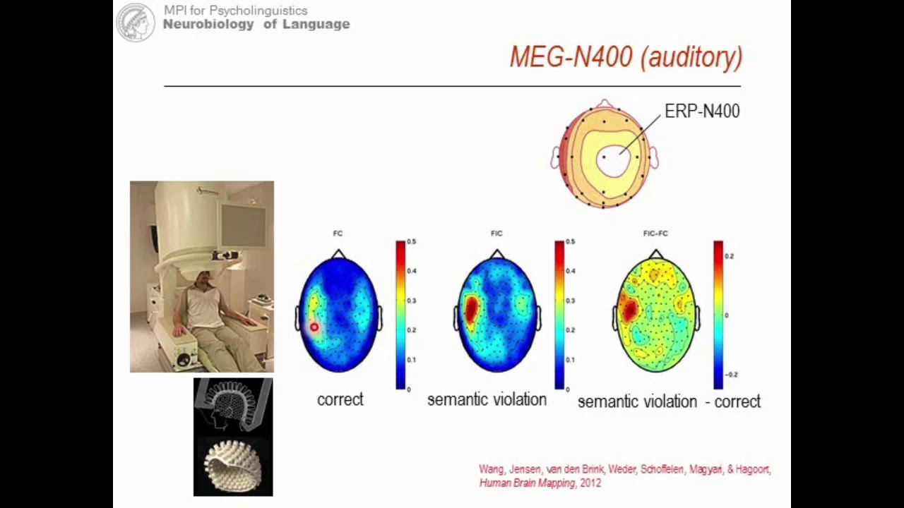 Unification for &lsquo;on the fly&rsquo; production and comprehension of language