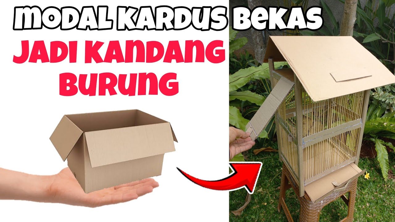 Cara membuat ❗ kandang burung dari kardus bekas - DIY