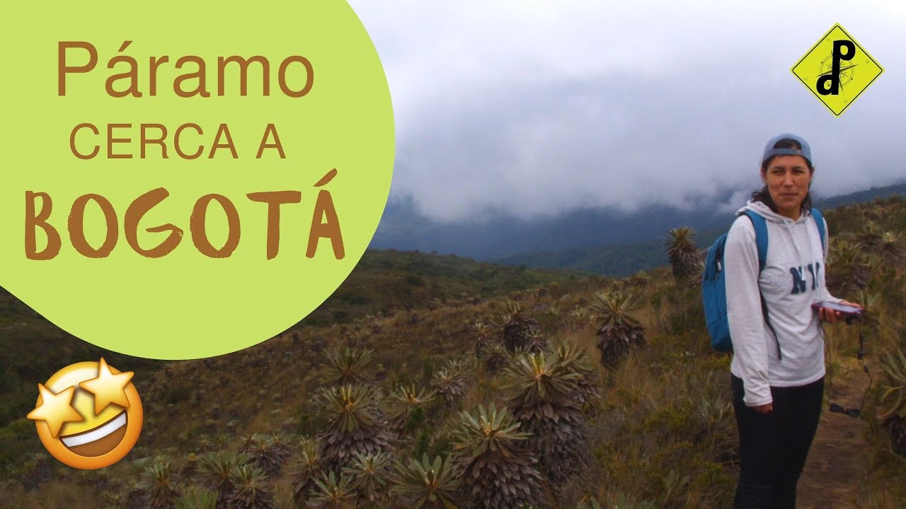 Páramo cerca a Bogotá  / Parque Matarredonda