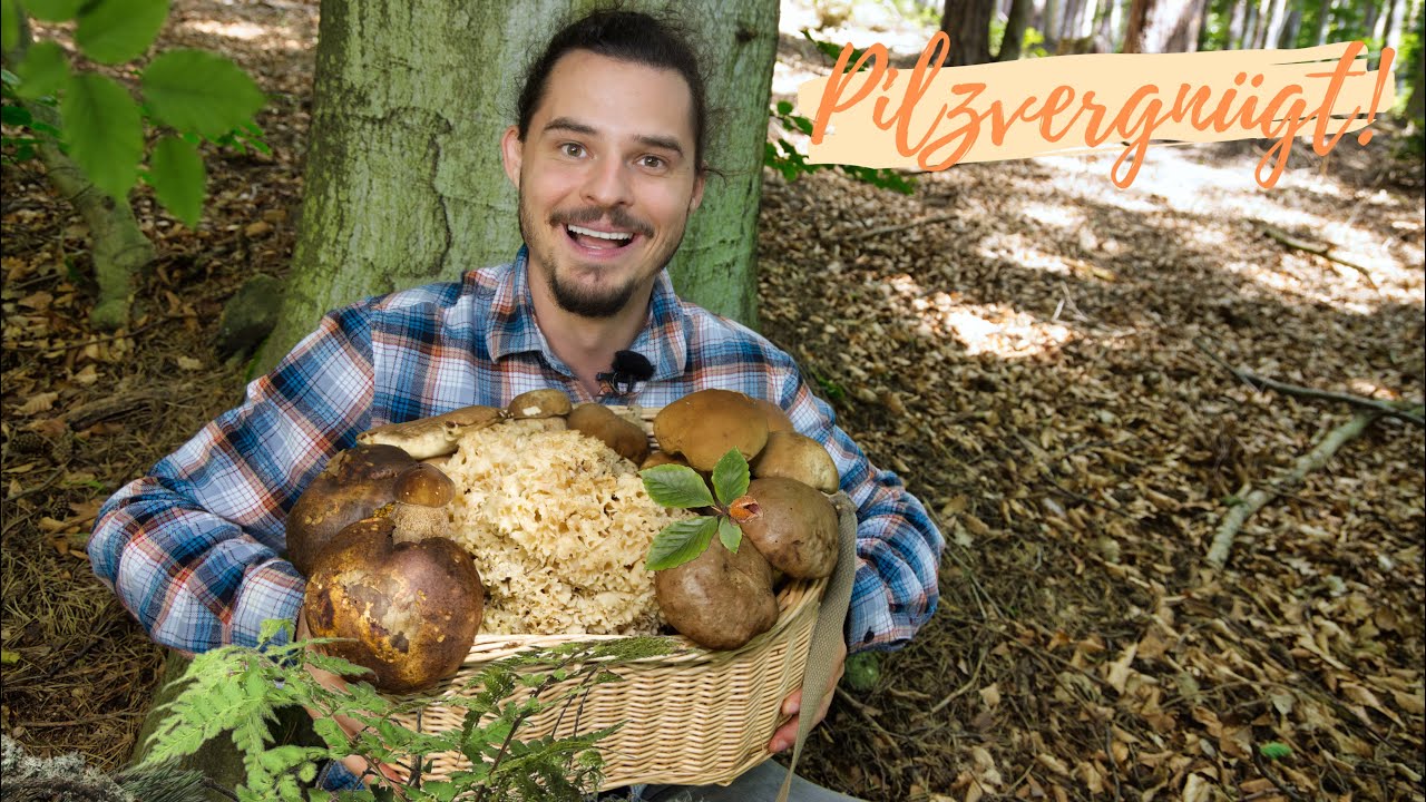 Pilzkorb wird gesprengt 🤩 Steinpilze, Krause Glucke und eine tolle Artenvielfalt im Sommer 2025