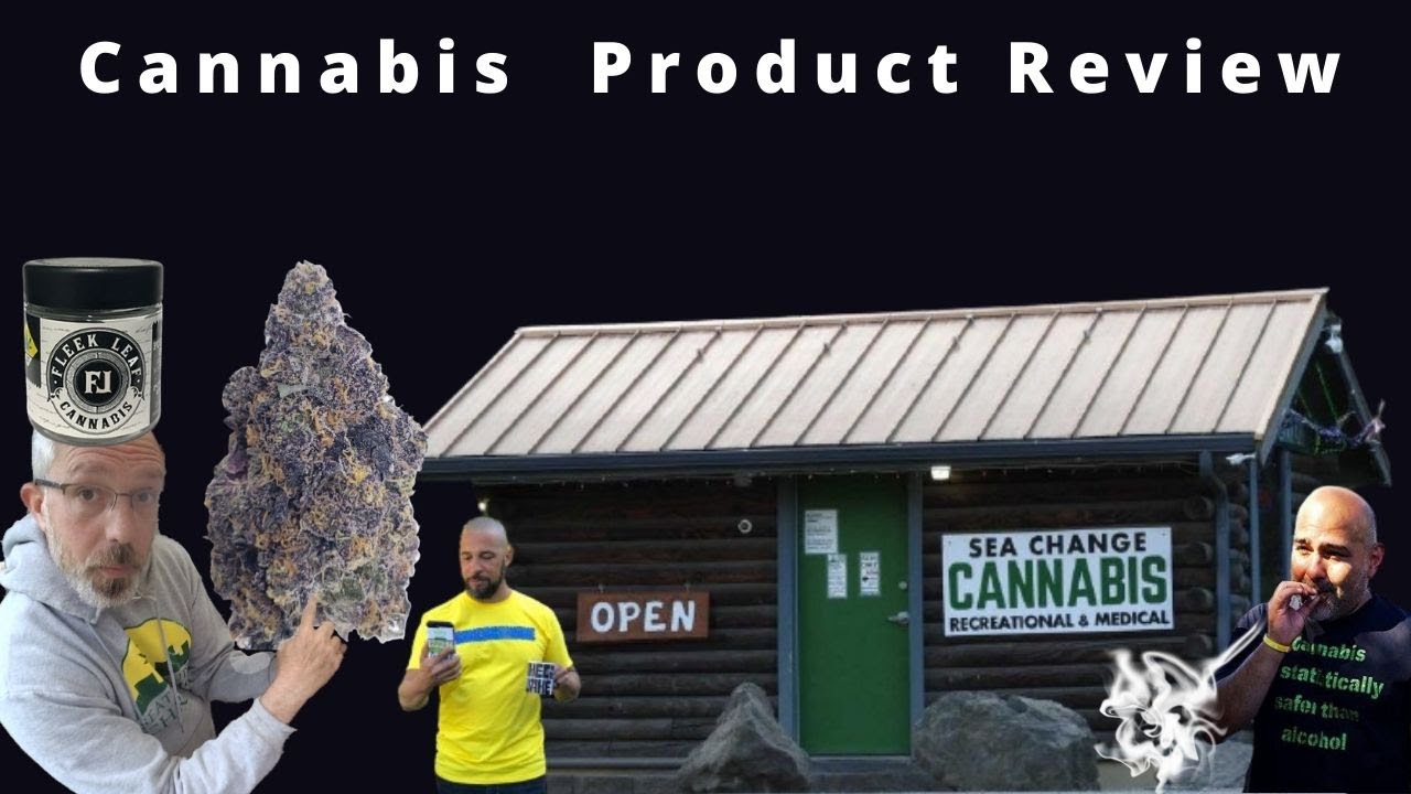 Fleek Leaf's Gelato 33 Product Review From the SMALLEST Pot Shop In Washington State