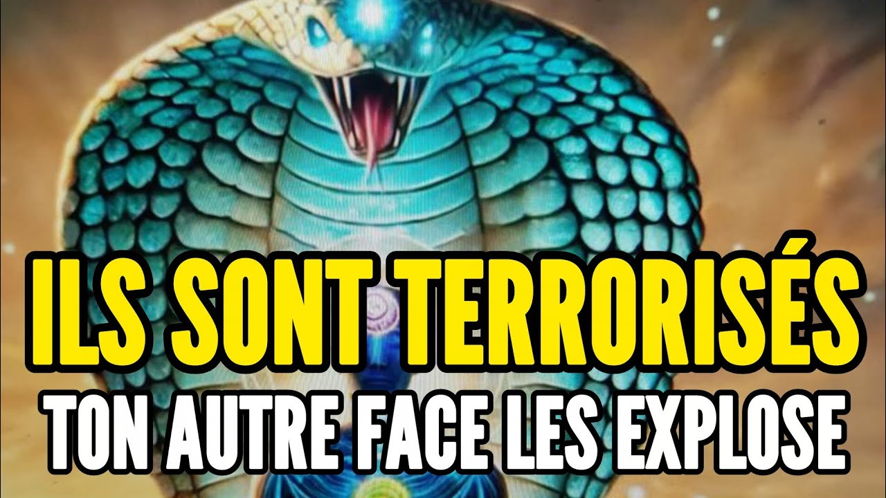 Élu(e), TON AUTRE FACE... 