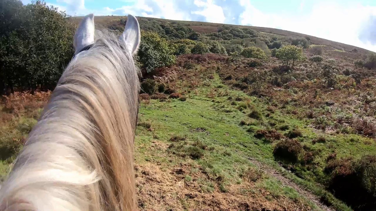 Quantocks September 2020