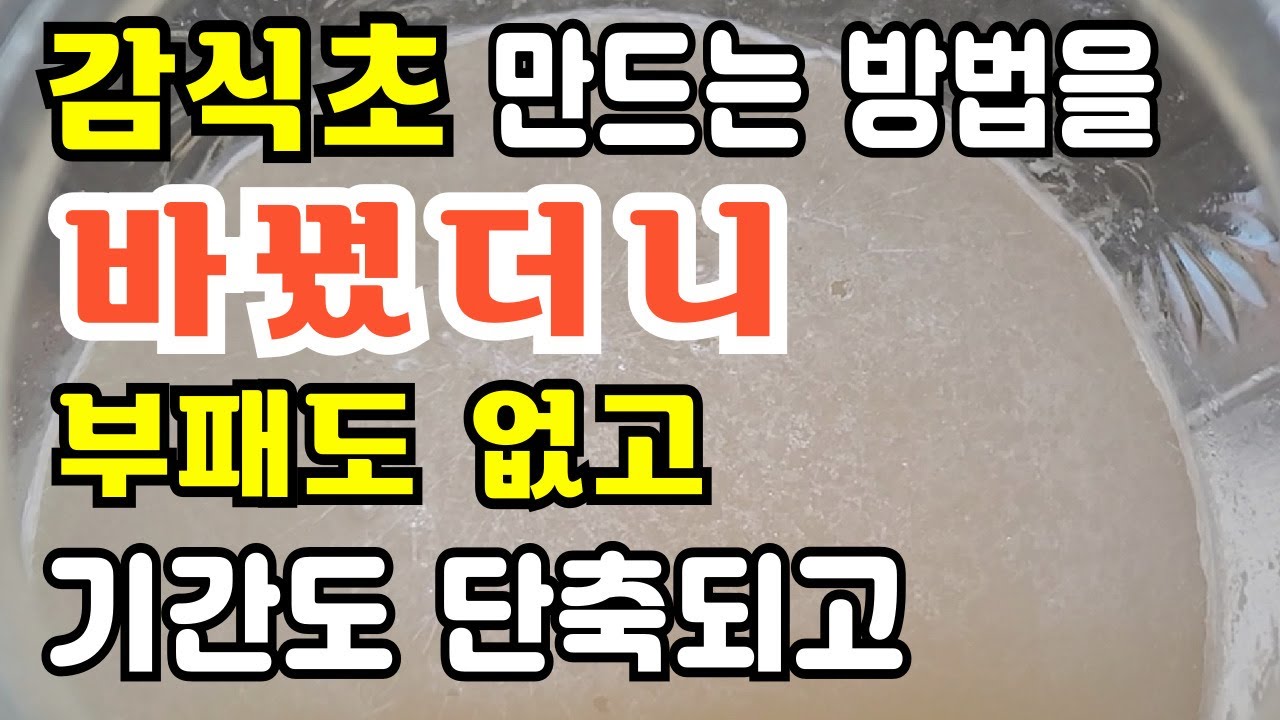 부패없이 감식초 전문가처럼 만드는  방법 막걸리식초만들기 발효식초만들기 홍씨로 감식초 만들기 감식초종초만들기 씨앗식초