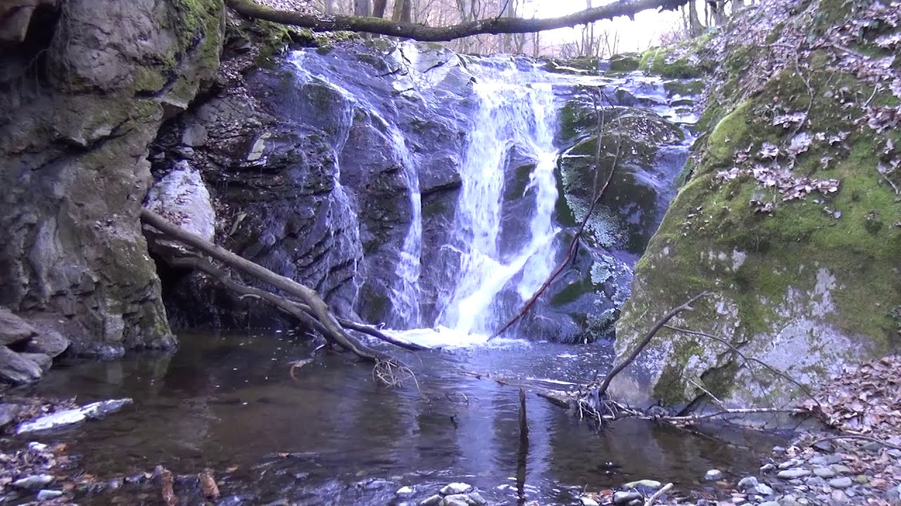 Cetatea din padurea Garbova de Sebes Urwegen