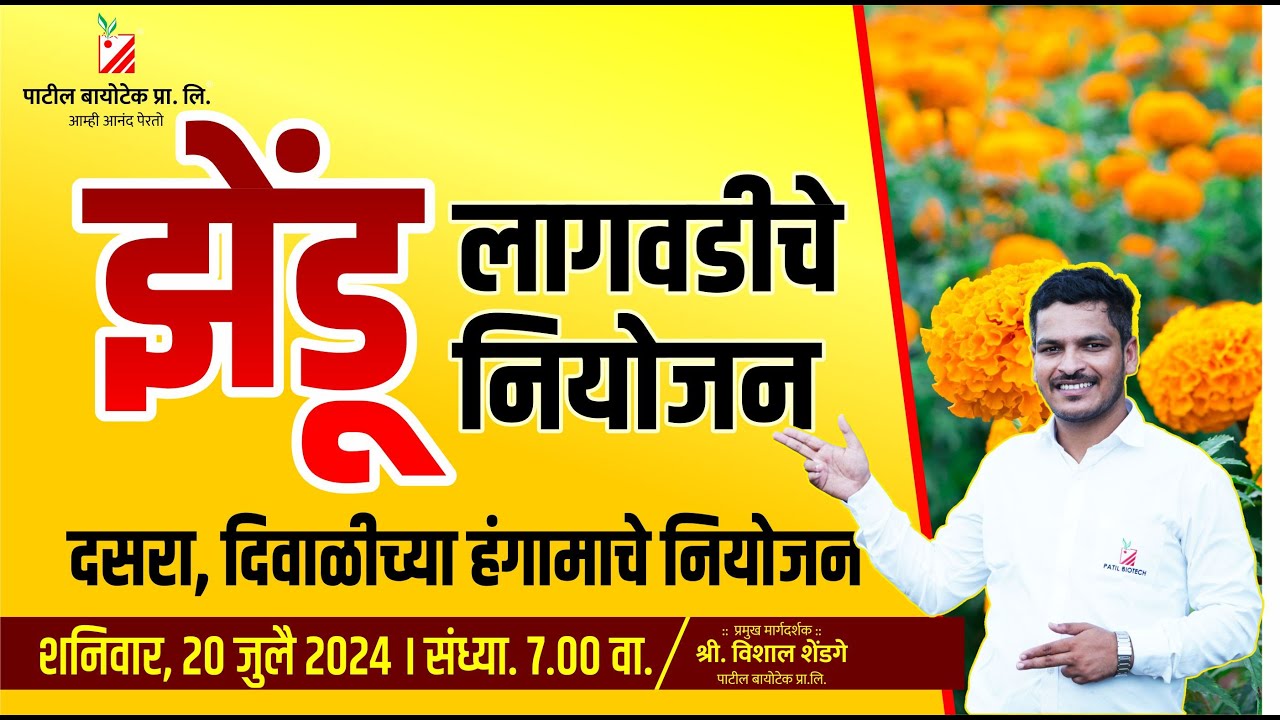 झेंडू लागवडीचे नियोजन (zendu Lagwadiche niyojan Dasara, Diwali Hangamache Niyojan)