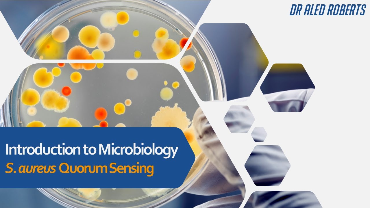 Quorum Sensing; S aureus