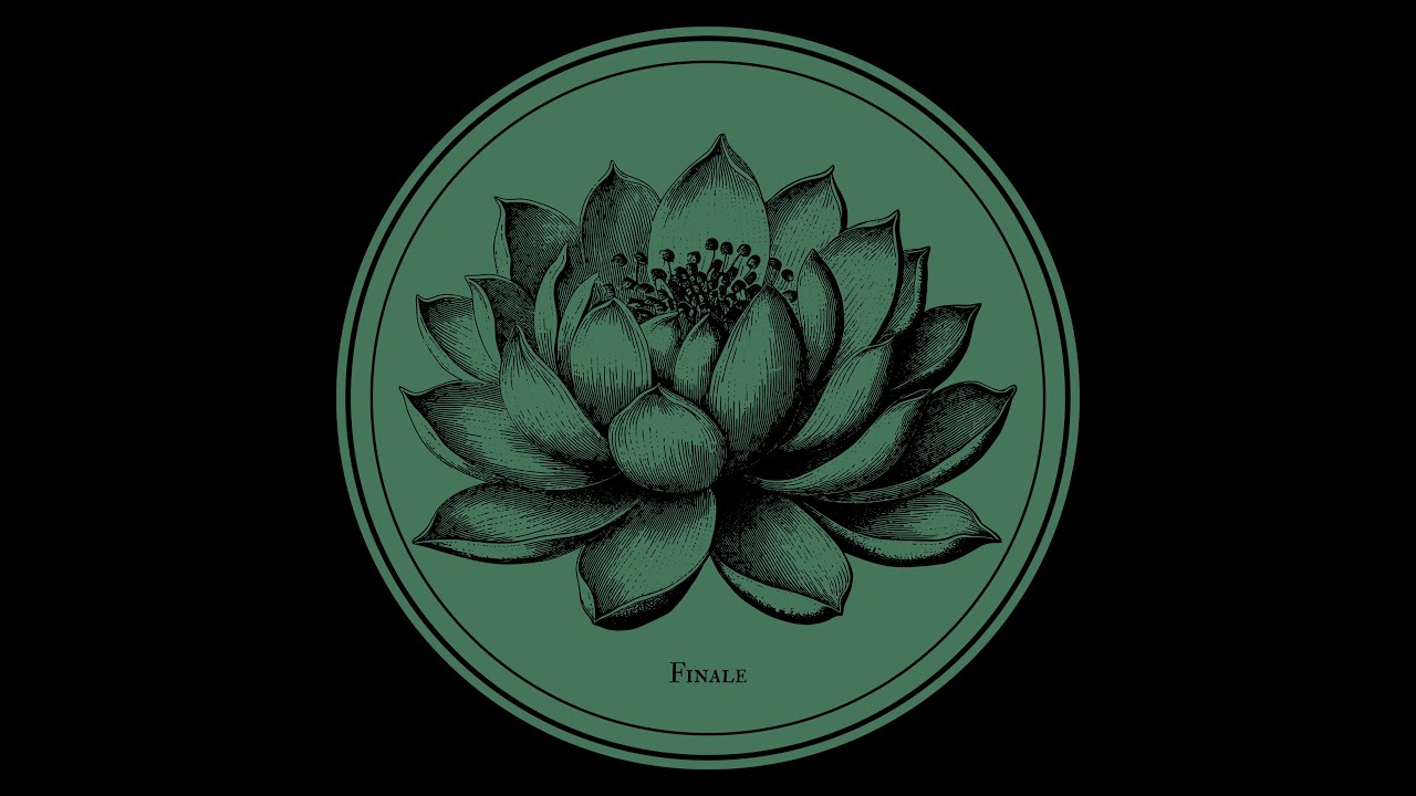 FERRO SOLO - THE NIGHT I WATCHED MYSELF DIE