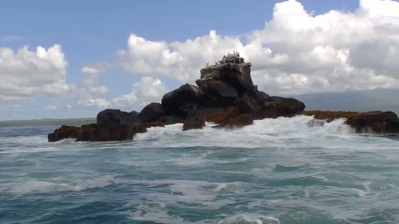 Hilfe, Schiffbruch nah am Felsen  bei Isla Florena-Galapagos