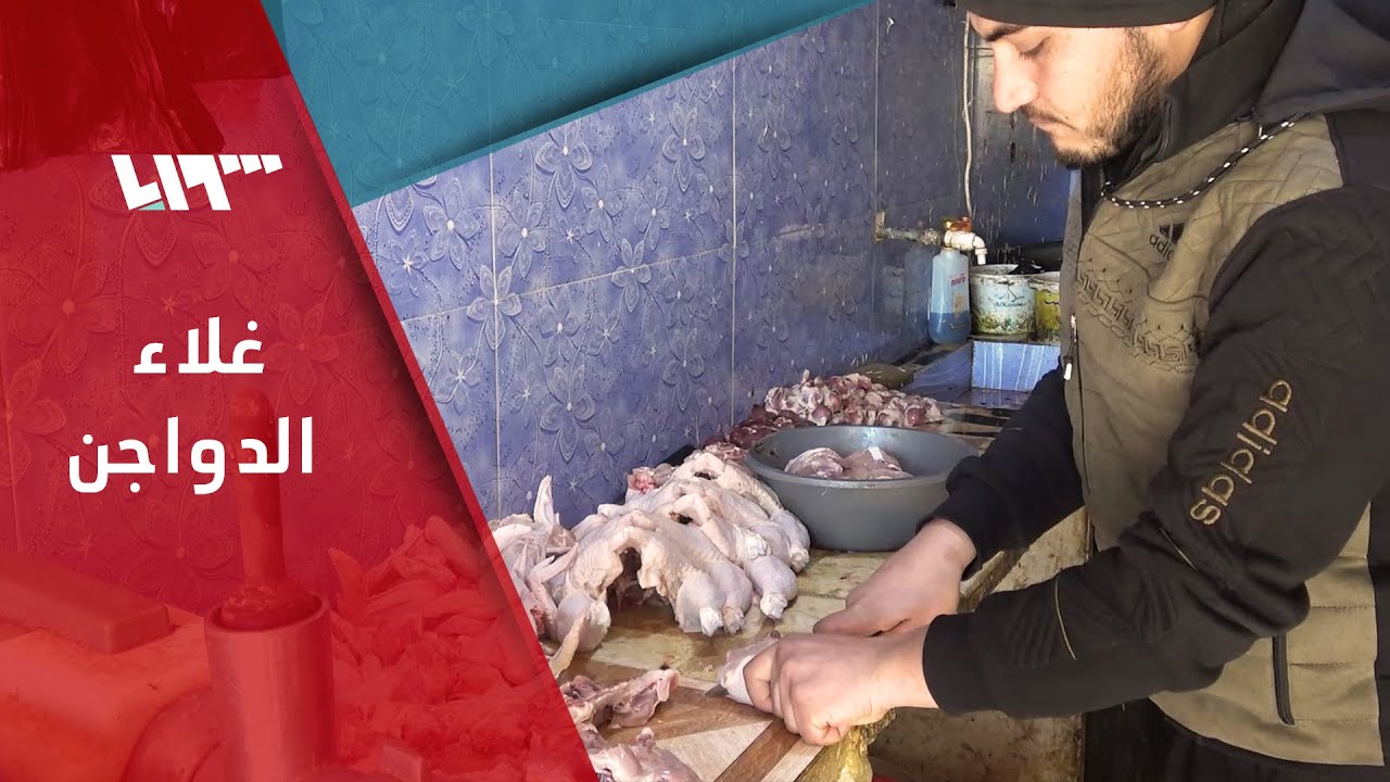 غلاء في أسعار الفروج وتذمر للأهالي في الشمال السوري | لم الشمل