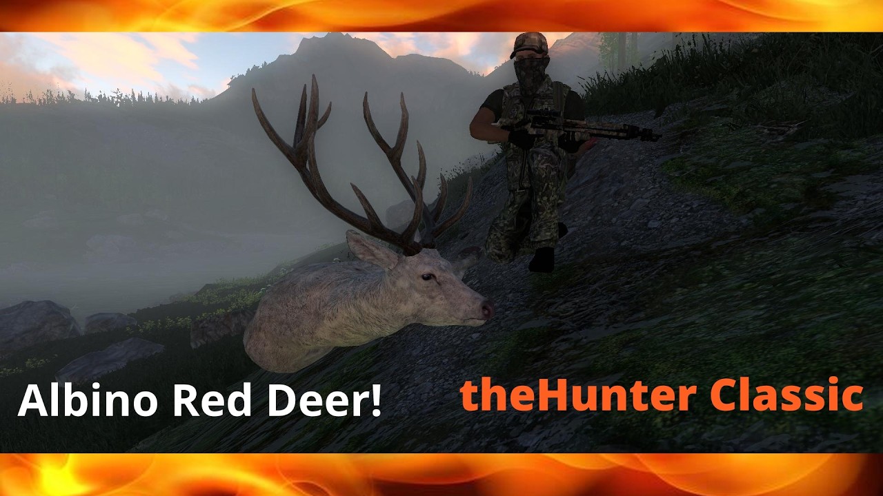 Big Albino Red Deer on Val-des-Bois! | theHunter Classic