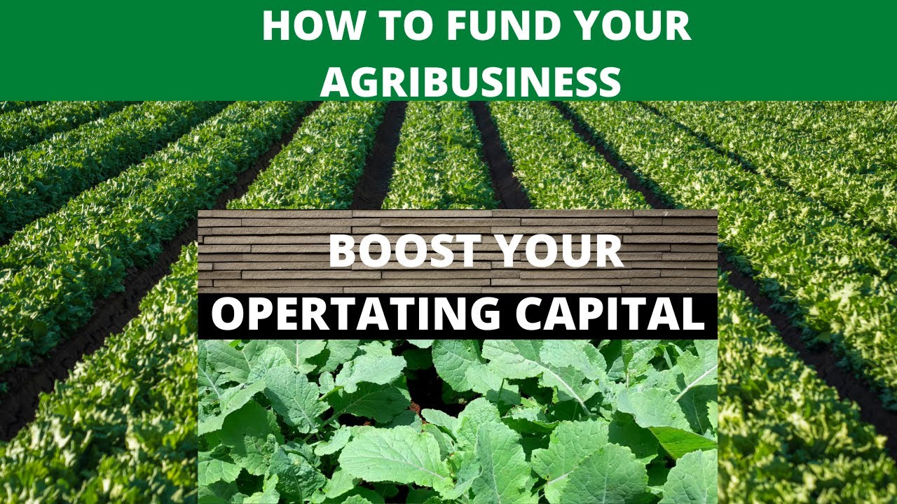 grants for agribusiness startups boost your farming business with government and private grants