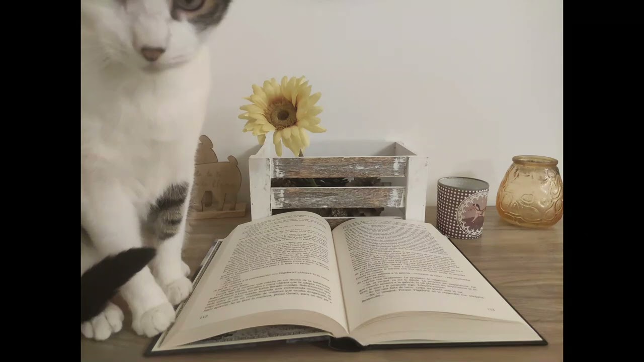 + de 1 hora de lectura susurrada para dormir sin interrupciones