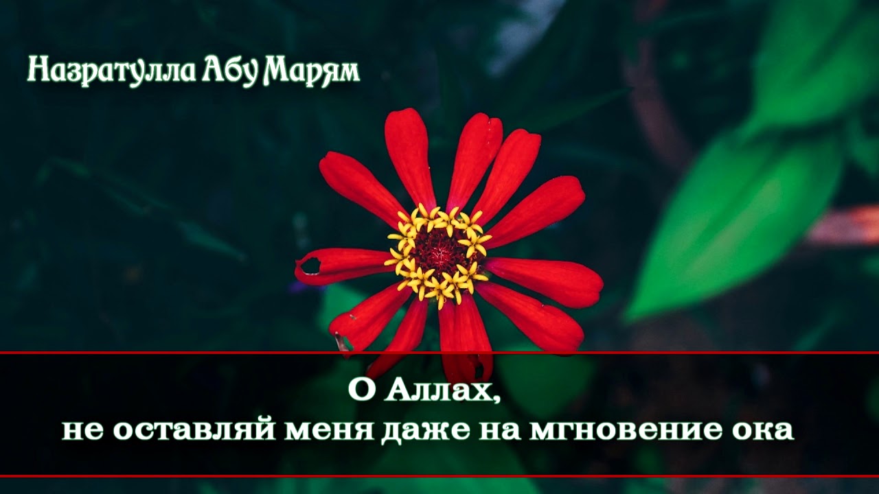 Назратулла абу Марям - о Аллах, не оставляй меня даже на мгновение ока