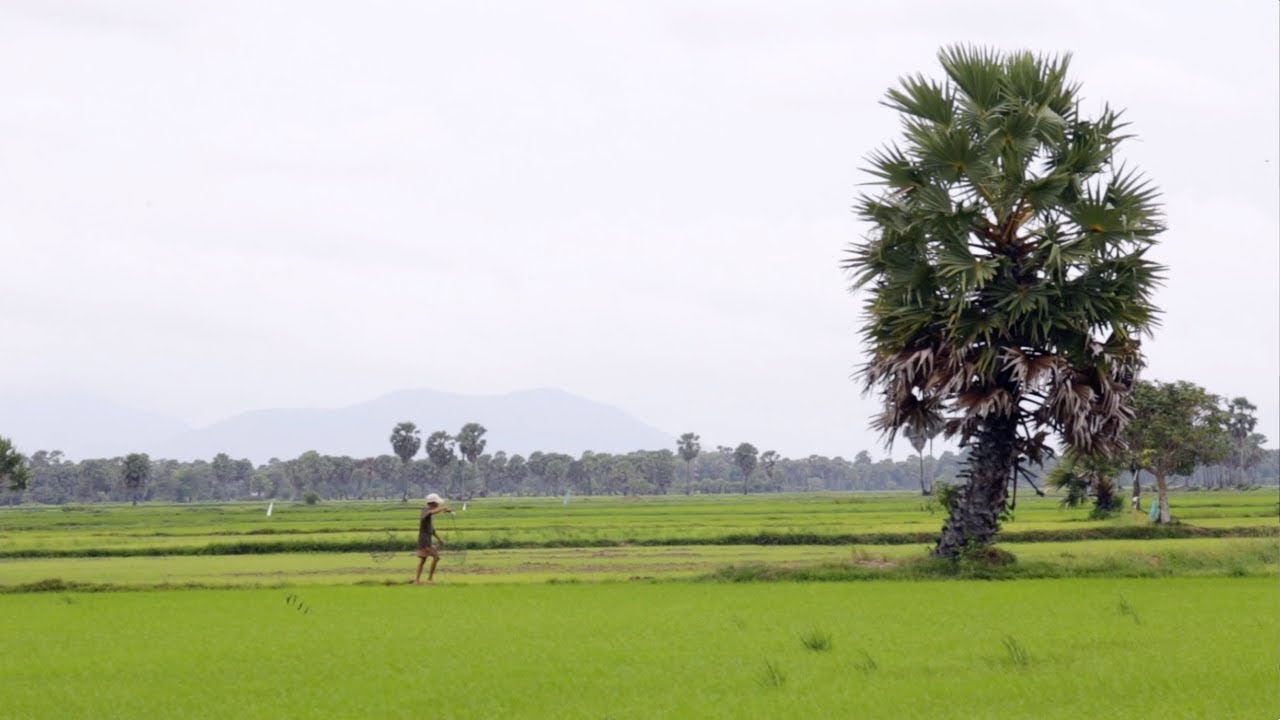 Innovative Farming Leads to Food and Financial Security