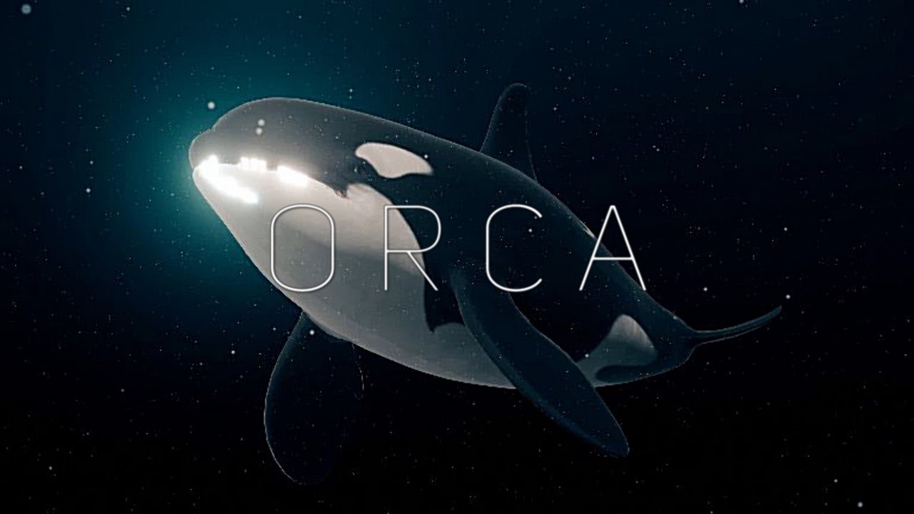 ORCAS | The Ocean's Most Majestic Apex Predator