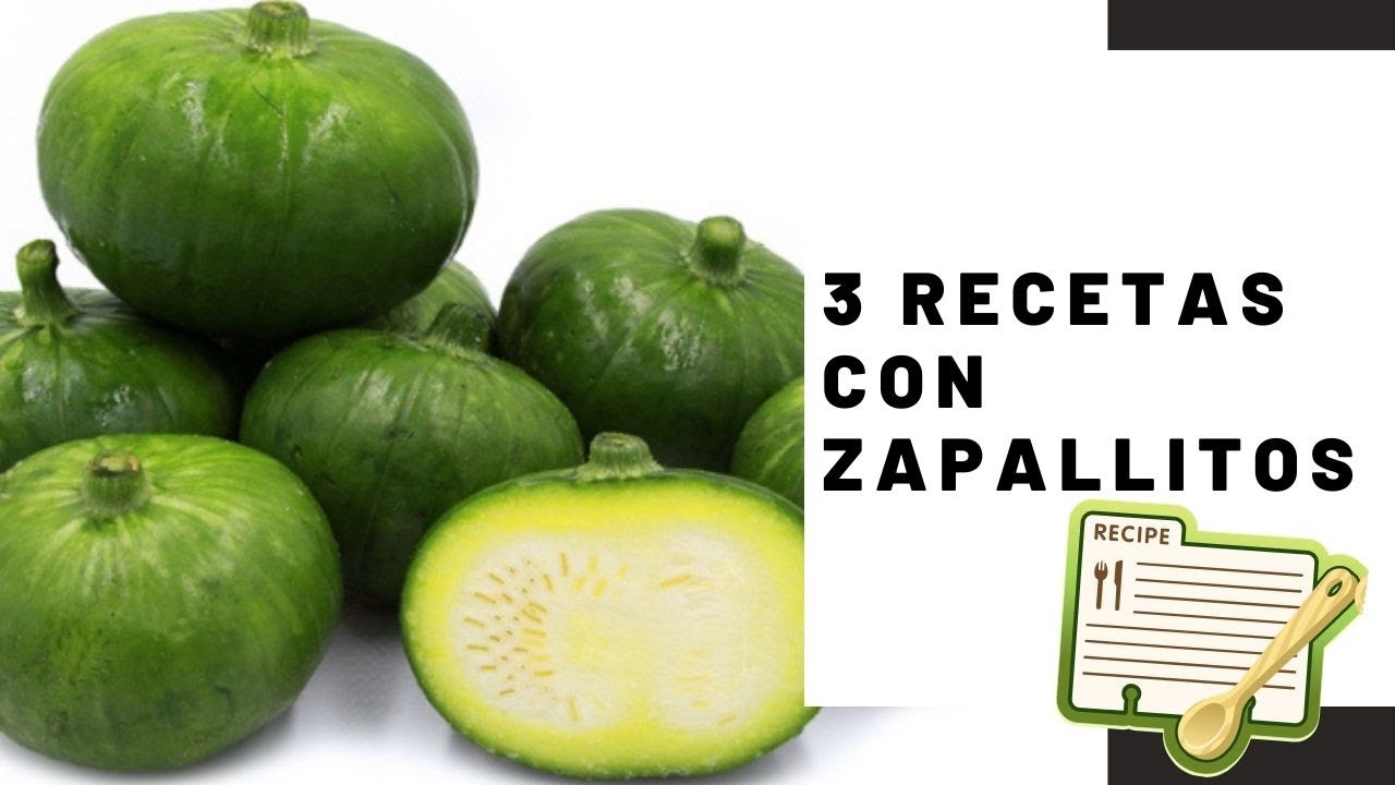 3 RECETAS MUY FACILES CON ZAPALLITOS + FREZZAMOS ZAPALLITOS CRUDOS