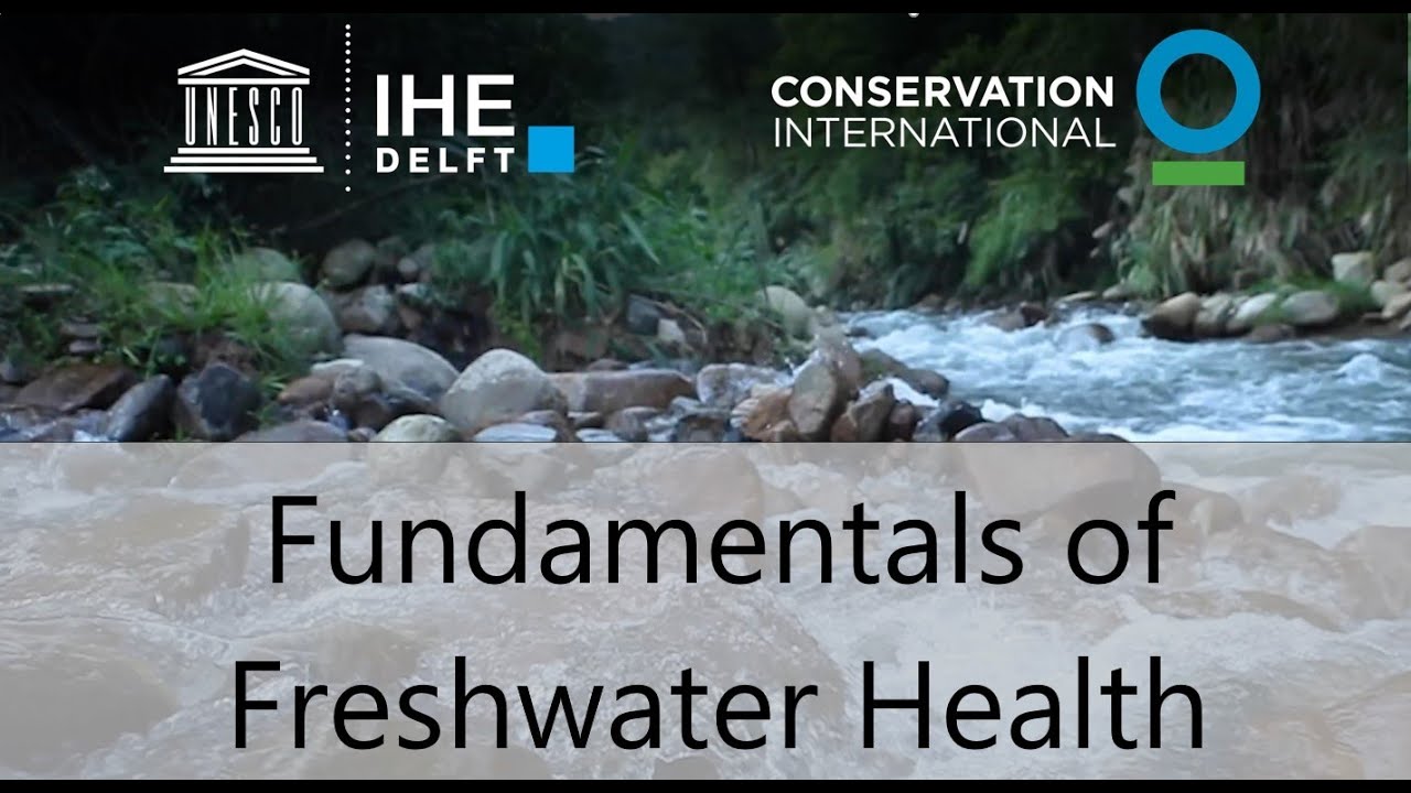 Lecture 1: Freshwater Ecosystems