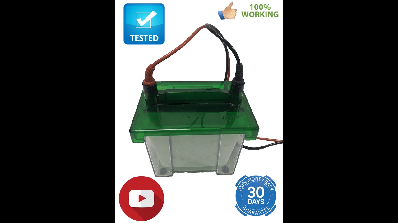 Bio Rad Mini Protean 3 Cell 525BR  Electrophoresis System in1319