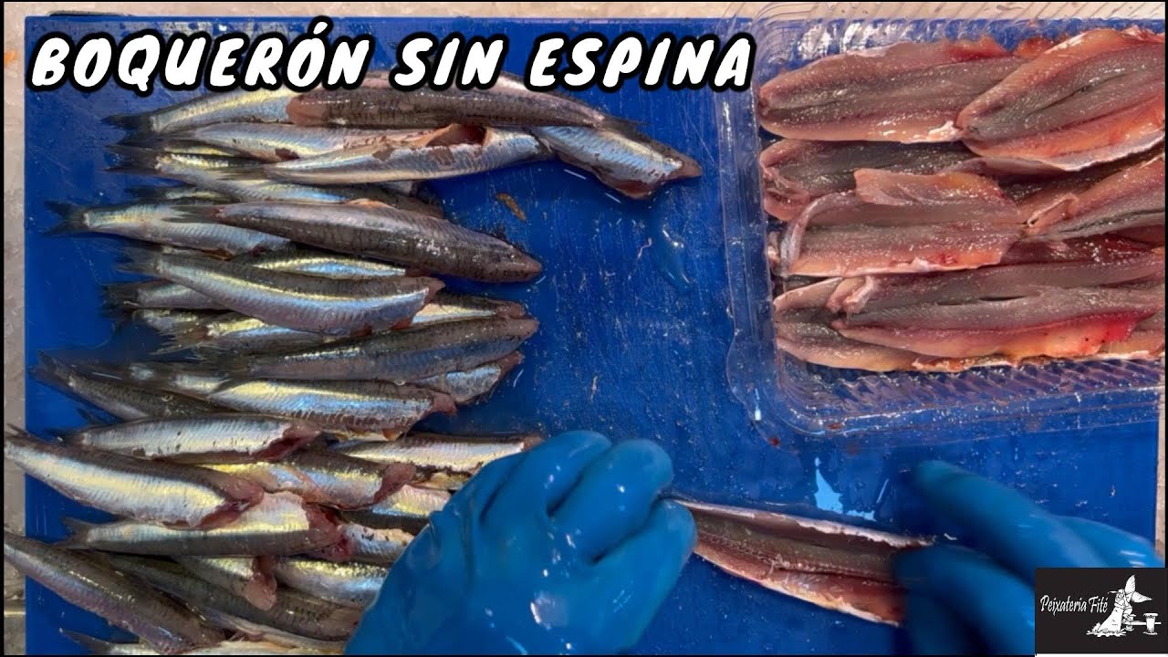 COMO HACER BOQUERON SIN ESPINA
