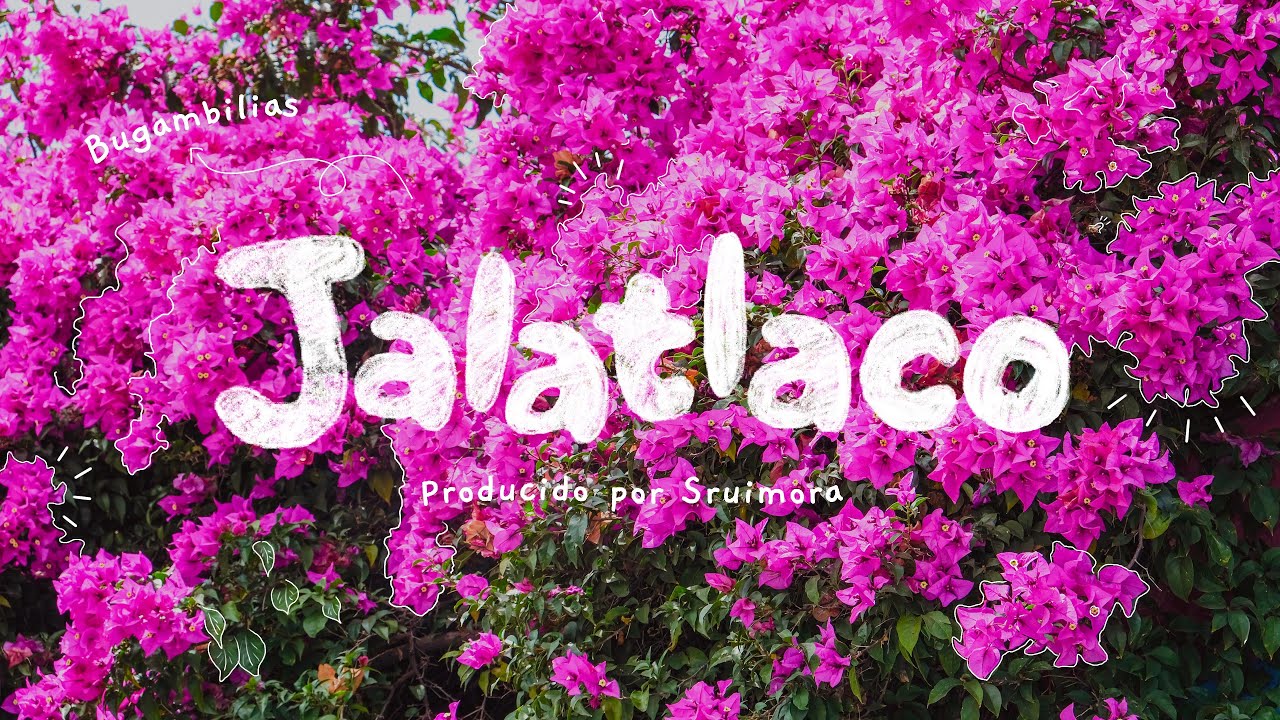 Mini VLOG en el barrio M&Aacute;GICO de JALATLACO 🎨💫