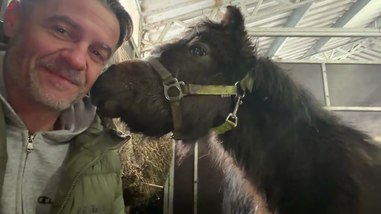 Antoś i jego mama od miesiąca są w stajni na leczeniu. Ale już prawie wyzdrowieli 