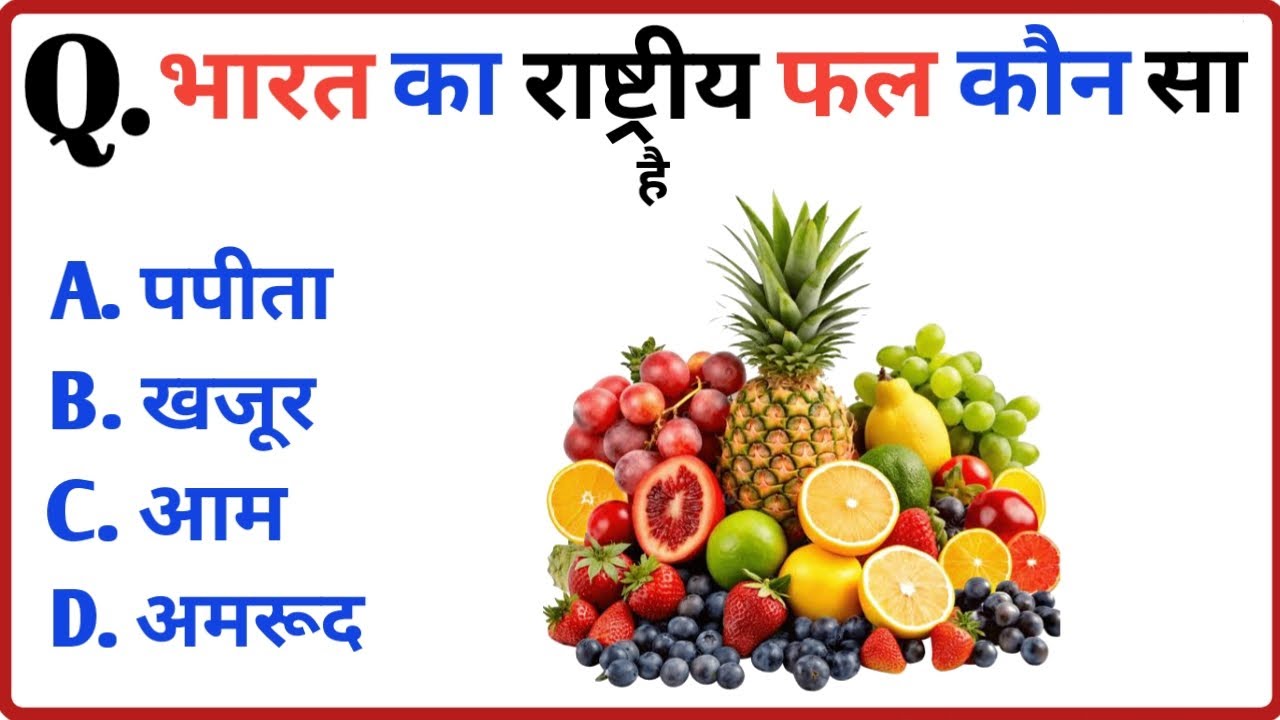 Gk questions and answers || intresting gk || gk questions || gk quiz || gk in hindi 