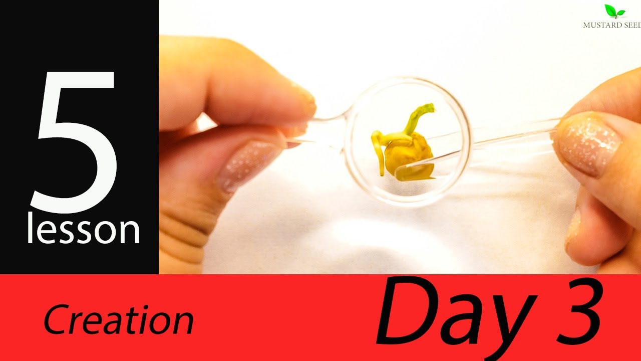 Creation - Day 3 -  Sunday School lessons - Bible crafts