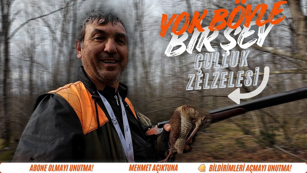 İğneada'da &Ccedil;ulluk avı #&ccedil;ulluk #woodcockhunting #&ccedil;ullukavı #woodcock